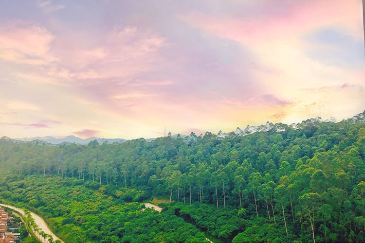 富力养生谷3房3床公寓第15张