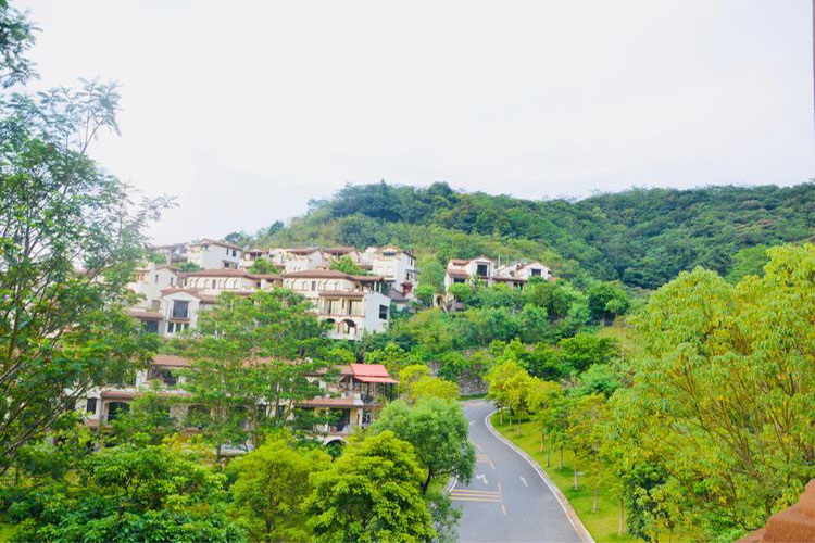 富力养生谷豪华欧式8房15床温泉双拼别墅第1张
