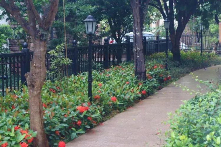 养生谷欧式伴溪8房15床温泉别墅第5张