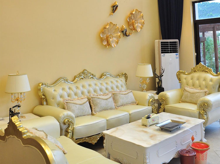 温泉养生谷6房12床温泉别墅第11张