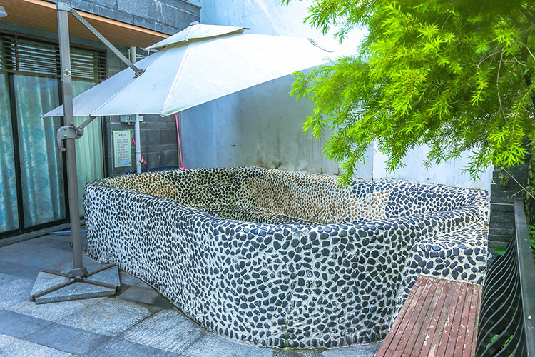 明月山溪山溪里11房20床欧式豪华度假别墅第8张