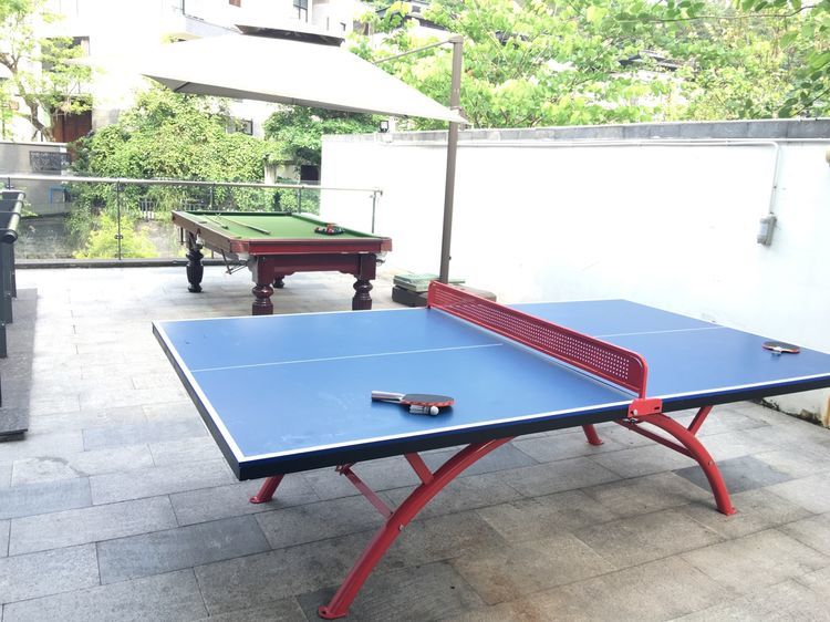 明月山溪山溪里11房20床欧式豪华度假别墅第7张