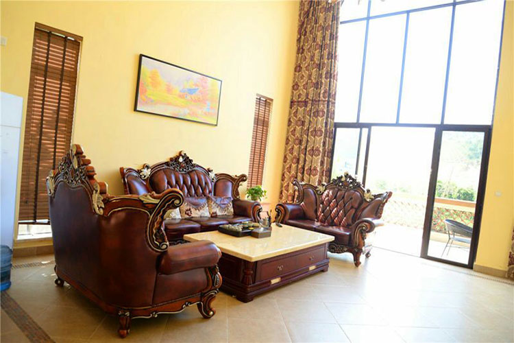 养生谷独栋欧式8房16床温泉别墅第9张