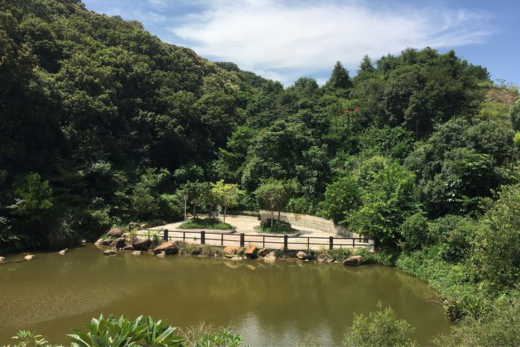 富力泉天下7房12床湖景泳池温泉别墅第8张