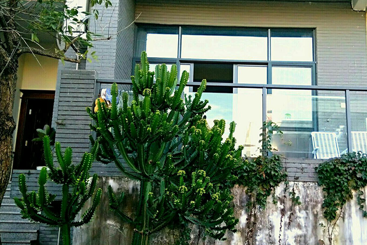 富力泉天下6房12床温泉别墅第2张