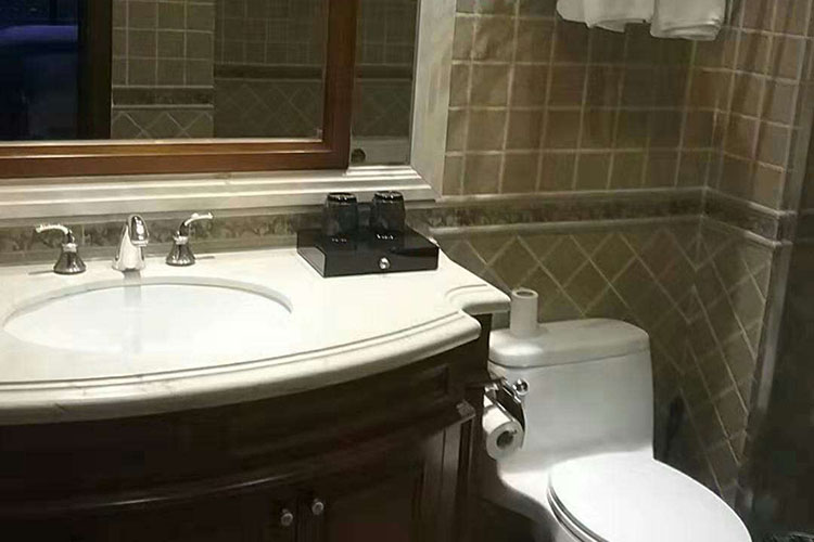 养生谷6房9床泳池温泉别墅第24张