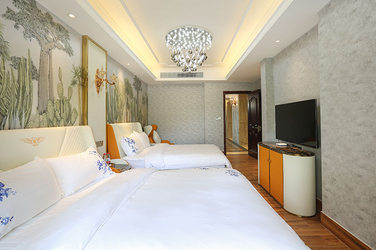 养生谷尊享奢华12房20床多功能泳池温泉美墅第51张