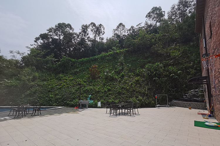 富力养生谷8房12床轻奢夜光泳池轰趴别墅第5张